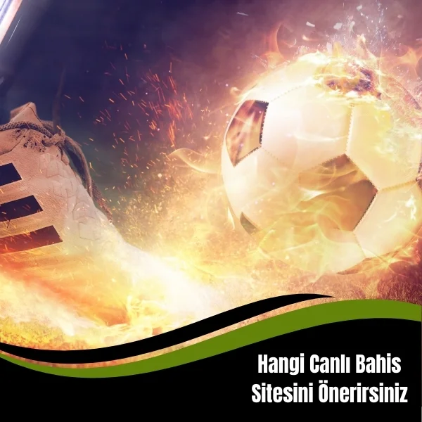 Hangi Canlı Bahis Sitesini Önerirsiniz